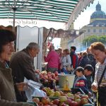 Eine Marktfrau verkauft Äpfel mit Theatinerkirche im Hintergrund